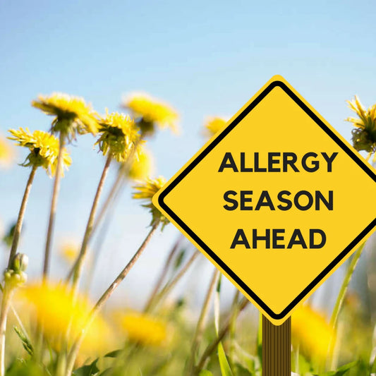 Tips and Hacks for Allergy Season